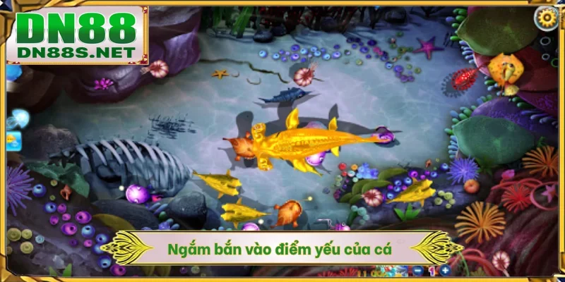 Ngắm bắn vào điểm yếu của cá