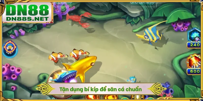 Tận dụng bí kíp để săn cá chuẩn