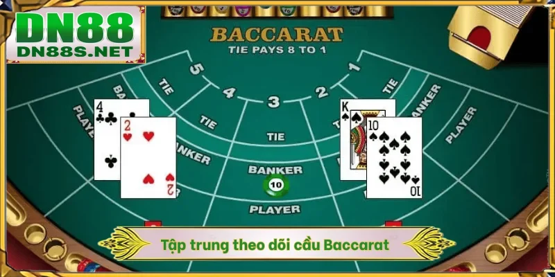 Tập trung theo dõi cầu Baccarat