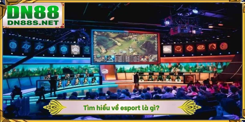 Tìm hiểu về esport là gì?