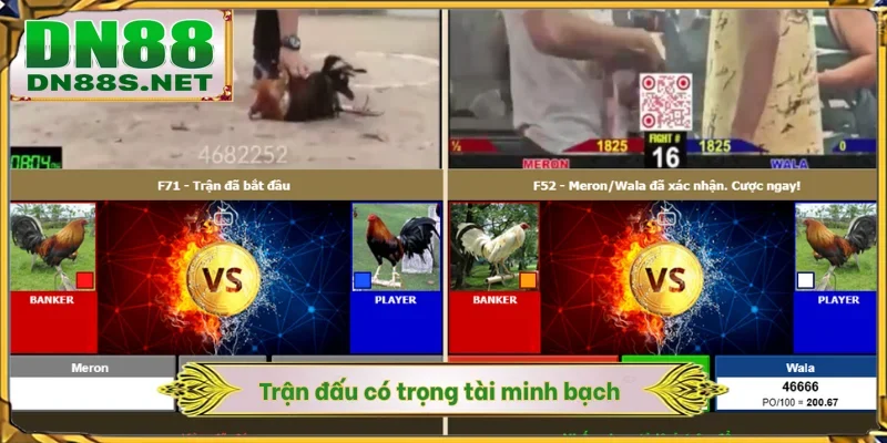 Trận đấu có trọng tài minh bạch