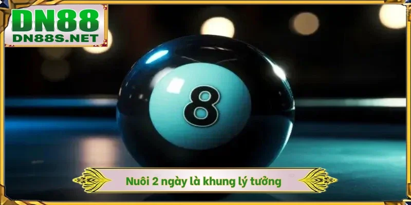 Nuôi 2 ngày là khung lý tưởng