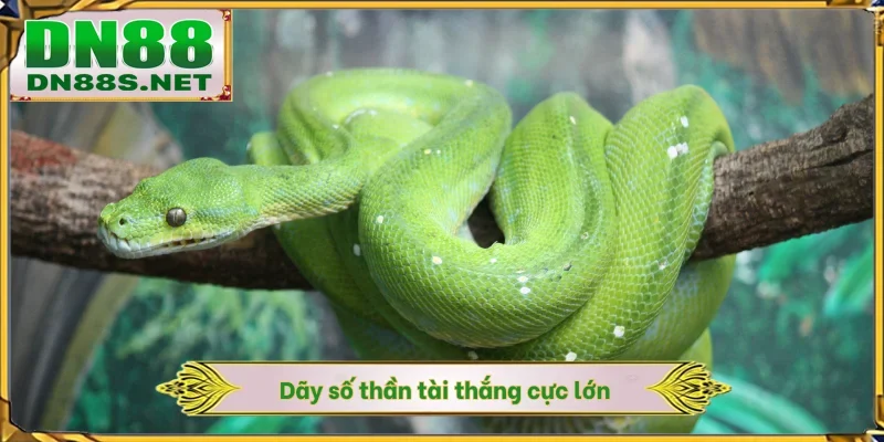 Dãy số thần tài thắng cực lớn