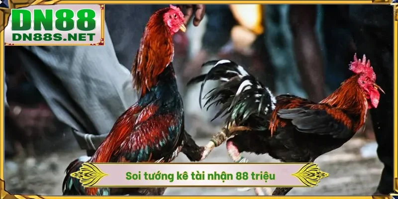 Soi tướng kê tài nhận 88 triệu