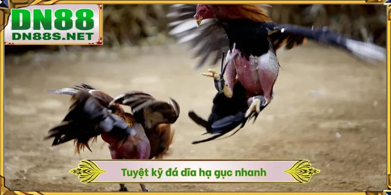 Tuyệt kỹ đá dĩa hạ gục nhanh